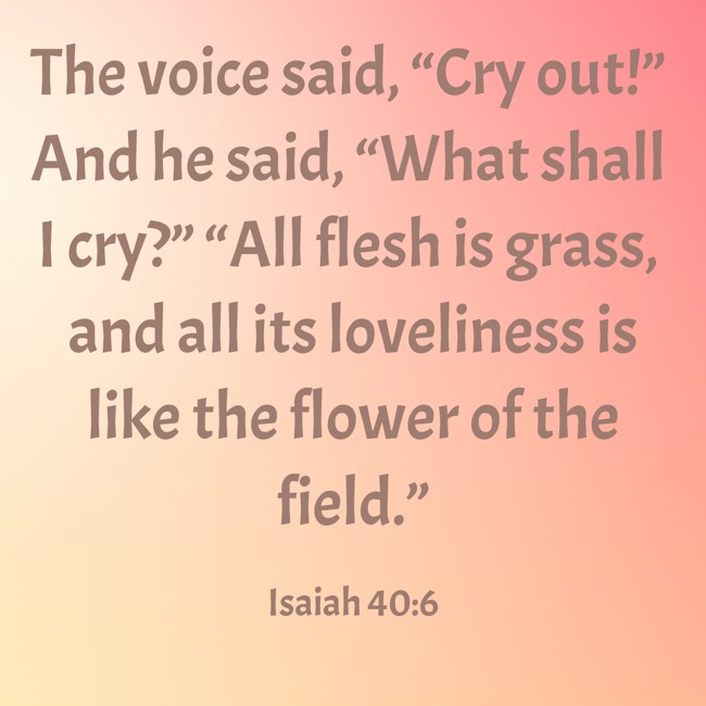 The voice said, “Cry out!” And he said, “What shall I cry?” “All flesh is grass, and all its loveliness is like the flower of the field.” - Isaiah 40:6