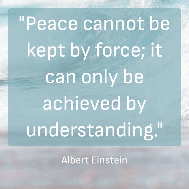 Peace cannot be kept by force; it can only be achieved by understanding. - Albert Einstein