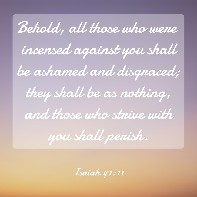  Behold, all those who were incensed against you shall be ashamed and disgraced; they shall be as nothing, and those who strive with you shall perish.   - Isaiah 41:11 