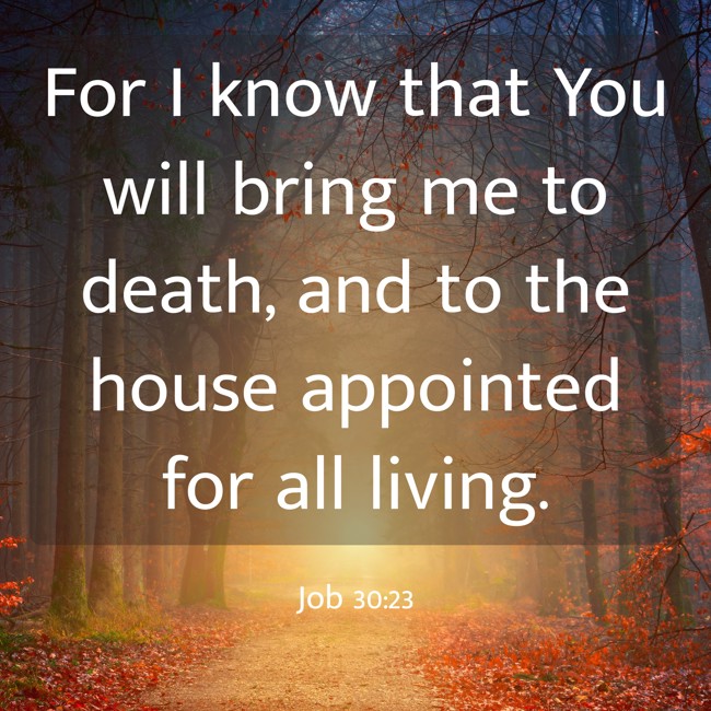 For I know that You will bring me to death, and to the house appointed for all living. - Job 30:23