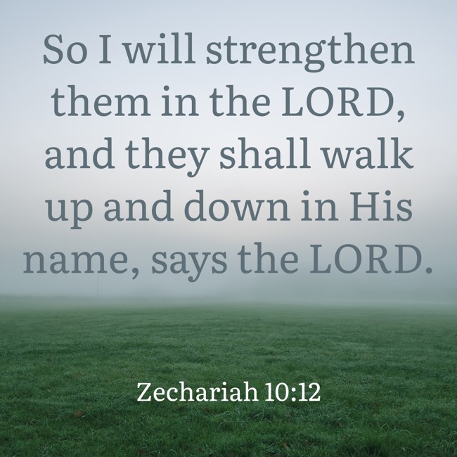  So I will strengthen them in the LORD, and they shall walk up and down in His name, says the LORD.   - Zechariah 10:12 