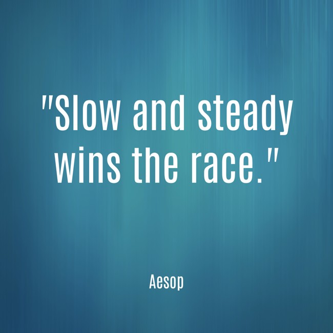  Slow and steady wins the race.   - Aesop 