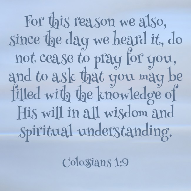 For this reason we also, since the day we heard it, do not cease to pray for you, and to ask that you may be filled with the knowledge of His will in all wisdom and spiritual understanding. - Colossians 1:9