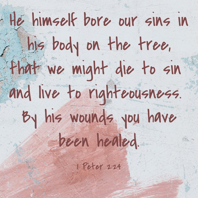  He himself bore our sins in his body on the tree, that we might die to sin and live to righteousness. By his wounds you have been healed.   - 1 Peter 2:24 