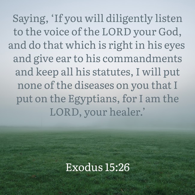 Saying, ‘If you will diligently listen to the voice of the LORD your God, and do that which is right in his eyes and give ear to his commandments and keep all his statutes, I will put none of the diseases on you that I put on the Egyptians, for I am the LORD, your healer.’   - Exodus 15:26 