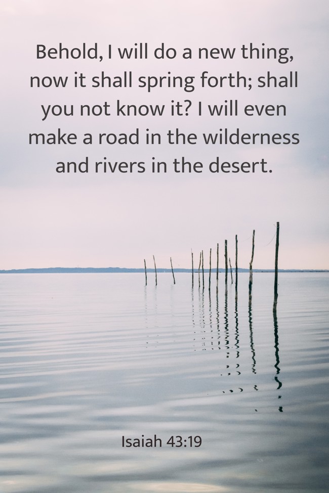Behold, I will do a new thing, now it shall spring forth; shall you not know it? I will even make a road in the wilderness and rivers in the desert. - Isaiah 43:19