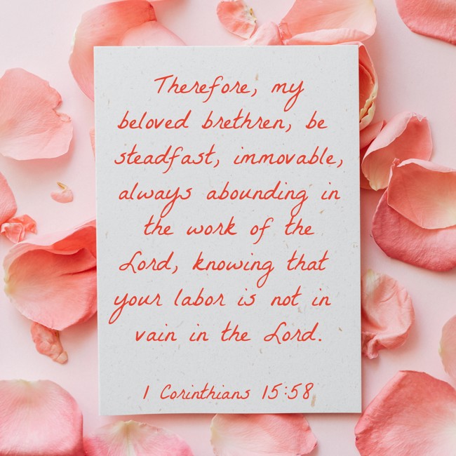 Therefore, my beloved brethren, be steadfast, immovable, always abounding in the work of the Lord, knowing that your labor is not in vain in the Lord. - 1 Corinthians 15:58