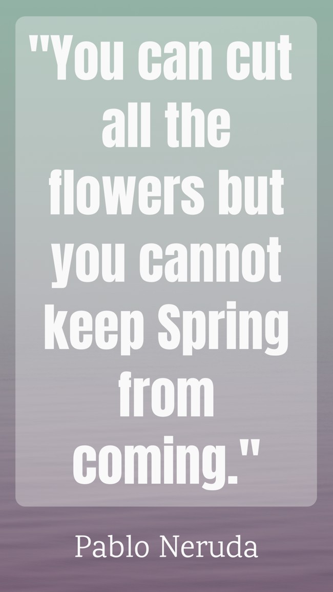  You can cut all the flowers but you cannot keep Spring from coming.   - Pablo Neruda 