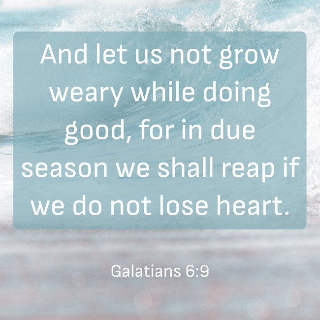 And let us not grow weary while doing good, for in due season we shall reap if we do not lose heart. - Galatians 6:9