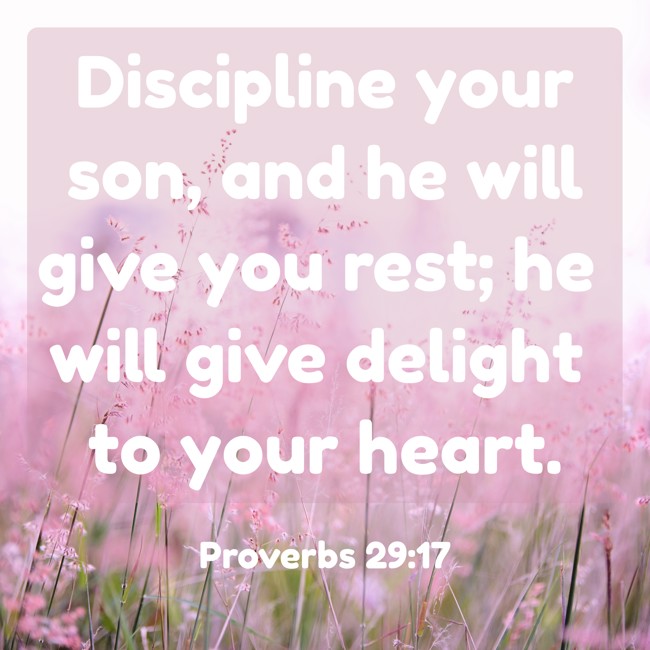 Discipline your son, and he will give you rest; he will give delight to your heart. - Proverbs 29:17