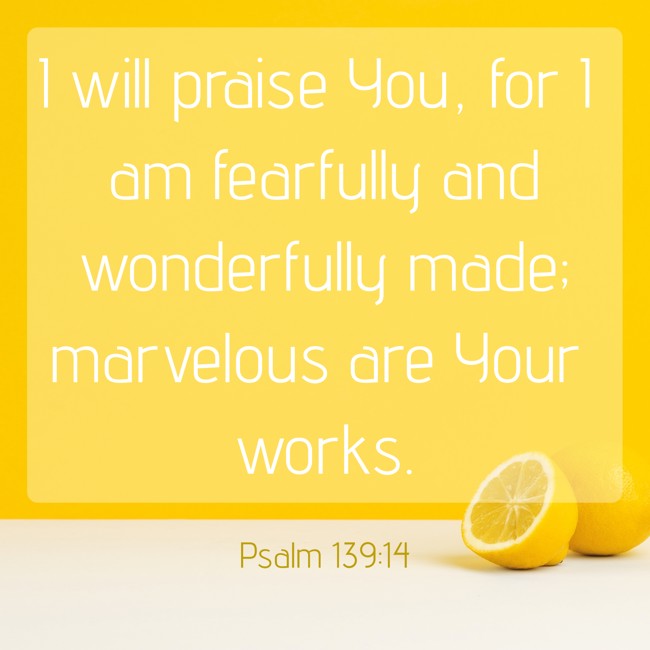 I will praise You, for I am fearfully and wonderfully made; marvelous are Your works. - Psalm 139:14