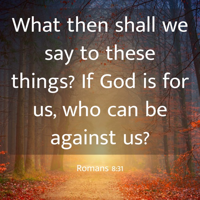 What then shall we say to these things? If God is for us, who can be against us? - Romans 8:31