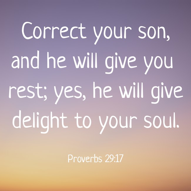 Correct your son, and he will give you rest; yes, he will give delight to your soul. - Proverbs 29:17