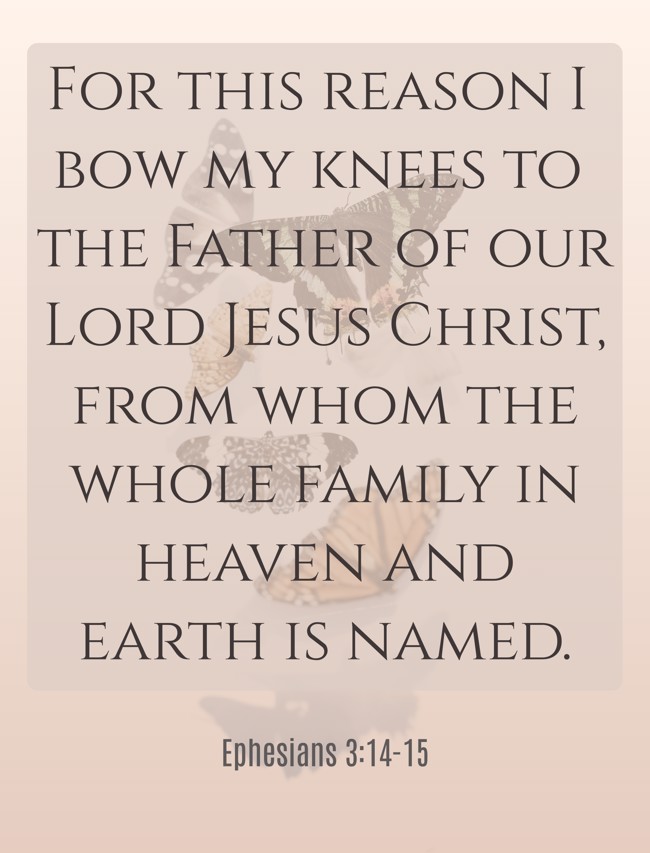 For this reason I bow my knees to the Father of our Lord Jesus Christ, from whom the whole family in heaven and earth is named. - Ephesians 3:14-15