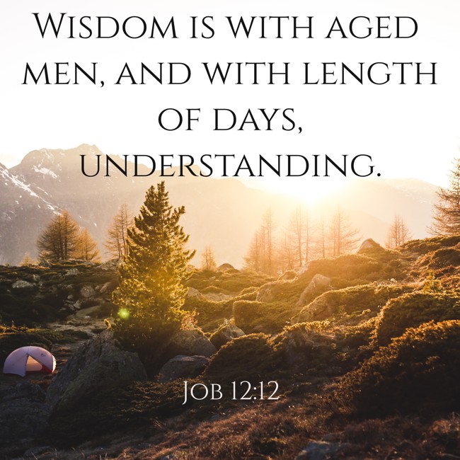 Wisdom is with aged men, and with length of days, understanding. - Job 12:12