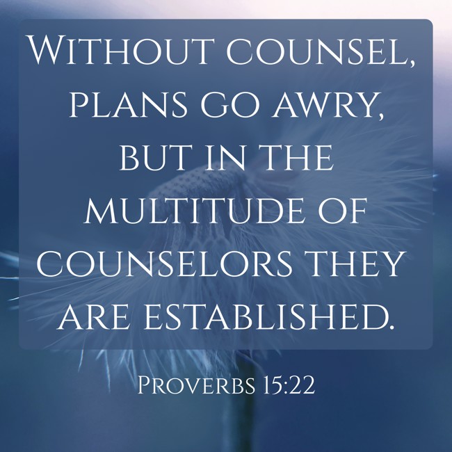 Without counsel, plans go awry, but in the multitude of counselors they are established. - Proverbs 15:22