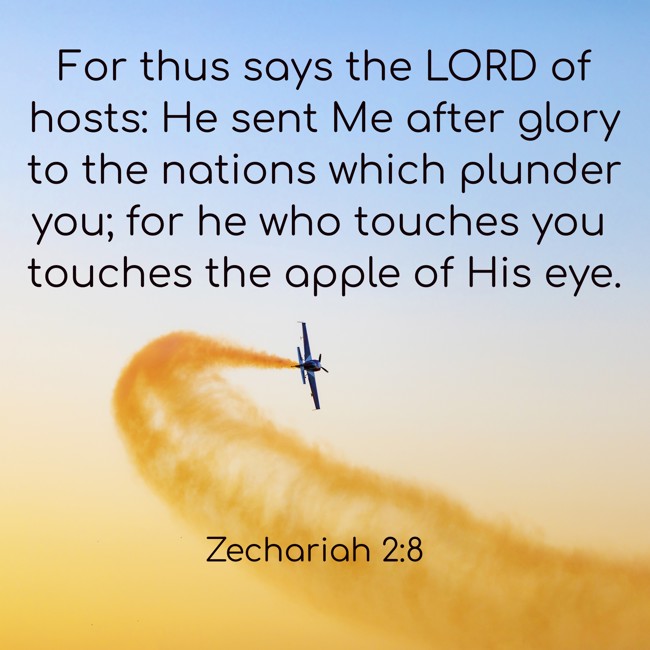 For thus says the LORD of hosts: He sent Me after glory to the nations which plunder you; for he who touches you touches the apple of His eye. - Zechariah 2:8