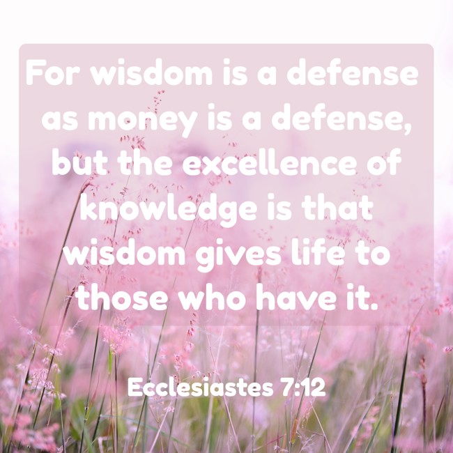 For wisdom is a defense as money is a defense, but the excellence of knowledge is that wisdom gives life to those who have it. - Ecclesiastes 7:12