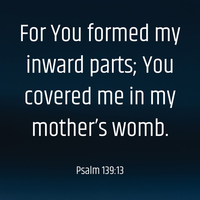 For You formed my inward parts; You covered me in my mother’s womb. - Psalm 139:13