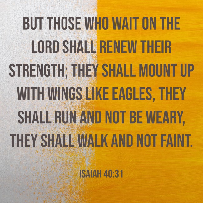 But those who wait on the LORD shall renew their strength; they shall mount up with wings like eagles, they shall run and not be weary, they shall walk and not faint. - Isaiah 40:31