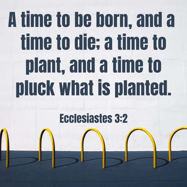 A time to be born, and a time to die; a time to plant, and a time to pluck what is planted. - Ecclesiastes 3:2