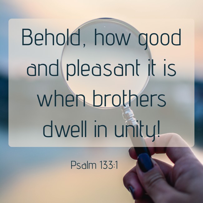 Behold, how good and pleasant it is when brothers dwell in unity! - Psalm 133:1