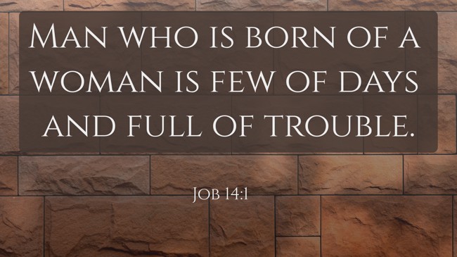 Man who is born of a woman is few of days and full of trouble. - Job 14:1