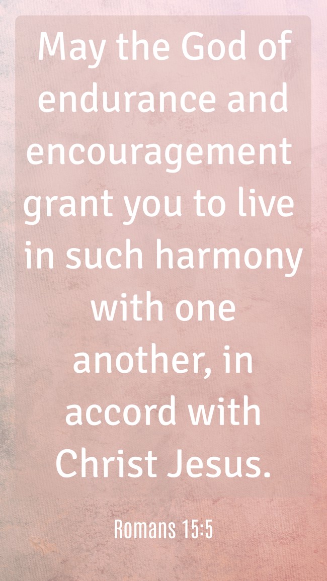 May the God of endurance and encouragement grant you to live in such harmony with one another, in accord with Christ Jesus. - Romans 15:5