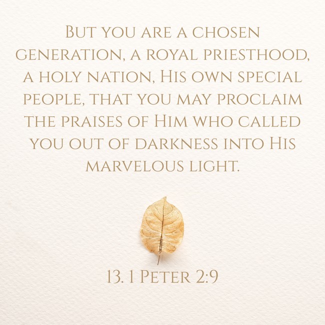 But you are a chosen generation, a royal priesthood, a holy nation, His own special people, that you may proclaim the praises of Him who called you out of darkness into His marvelous light. - 13. 1 Peter 2:9