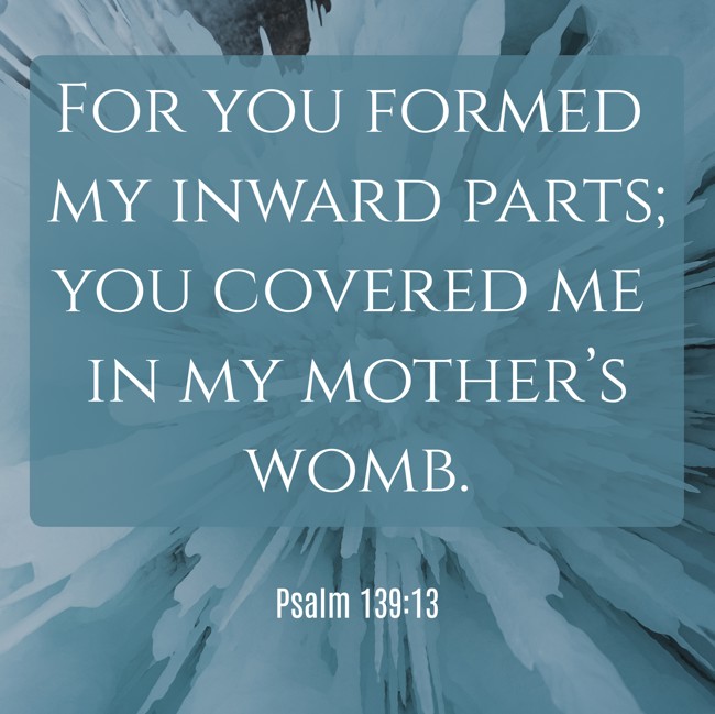 For you formed my inward parts; you covered me in my mother’s womb. - Psalm 139:13