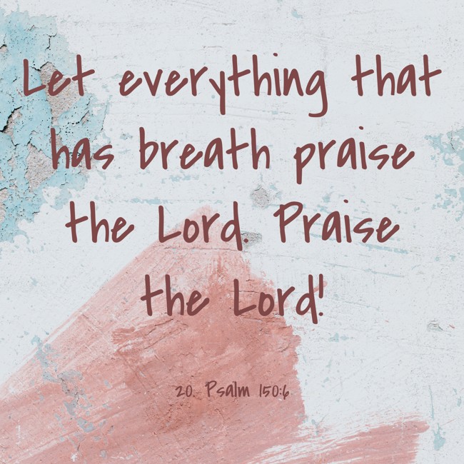 Let everything that has breath praise the Lord. Praise the Lord! - 20. Psalm 150:6