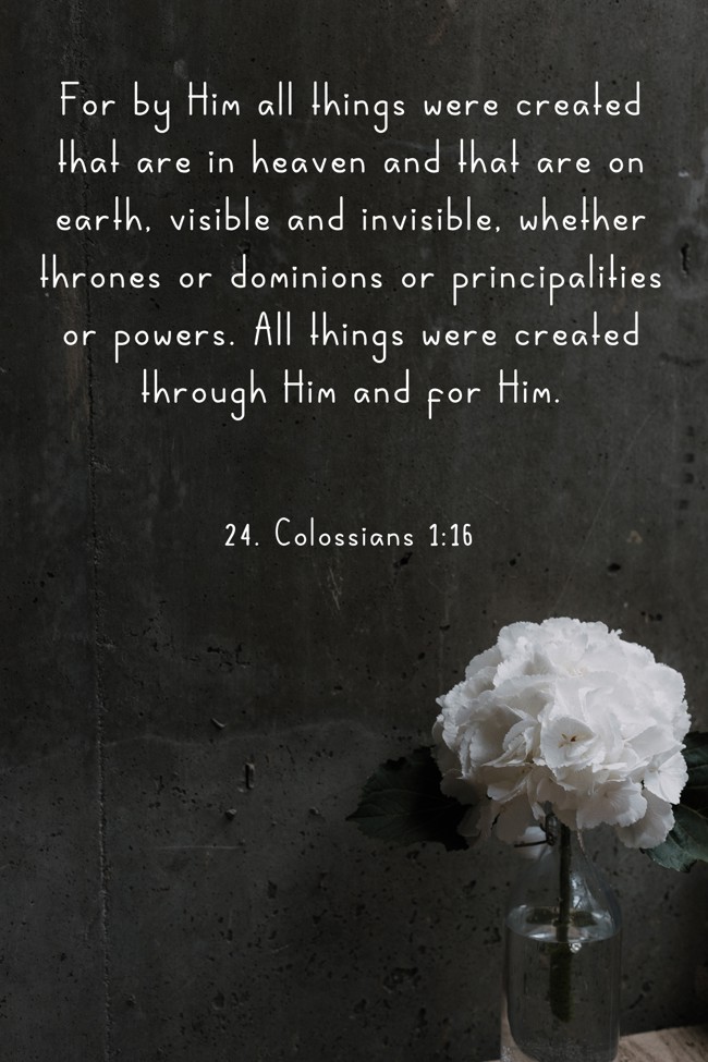 For by Him all things were created that are in heaven and that are on earth, visible and invisible, whether thrones or dominions or principalities or powers. All things were created through Him and for Him. - 24. Colossians 1:16