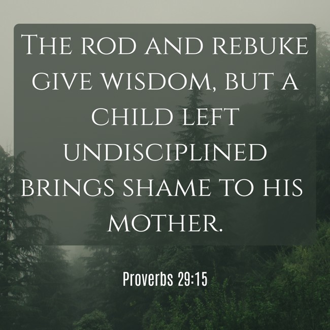 The rod and rebuke give wisdom, but a child left undisciplined brings shame to his mother. - Proverbs 29:15
