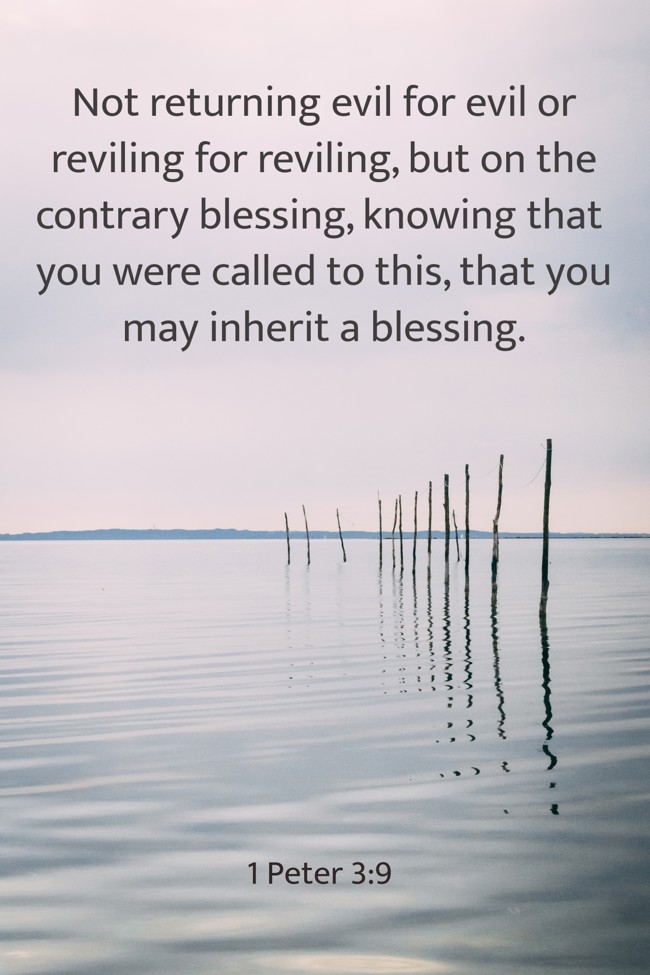 Not returning evil for evil or reviling for reviling, but on the contrary blessing, knowing that you were called to this, that you may inherit a blessing. - 1 Peter 3:9