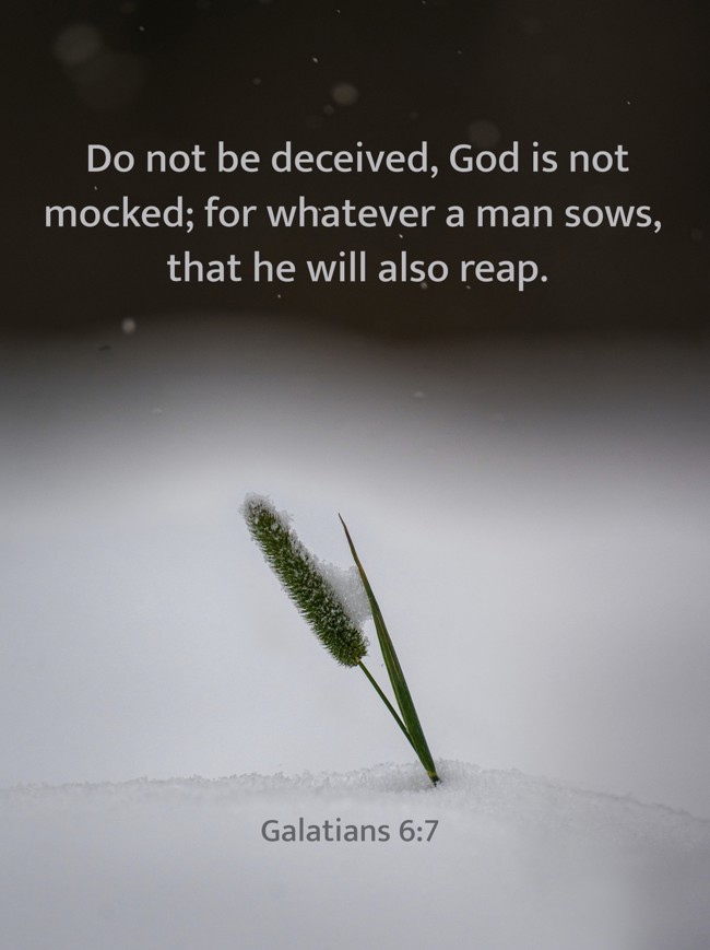Do not be deceived, God is not mocked; for whatever a man sows, that he will also reap. - Galatians 6:7