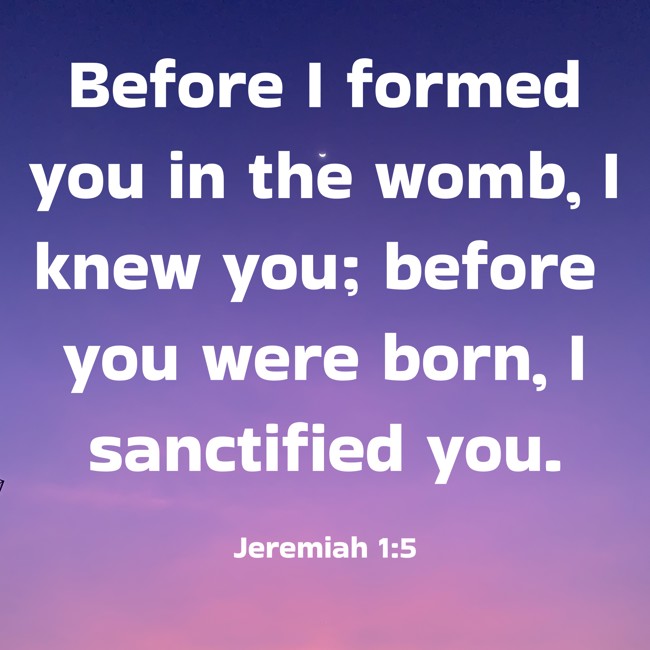 Before I formed you in the womb, I knew you; before you were born, I sanctified you. - Jeremiah 1:5