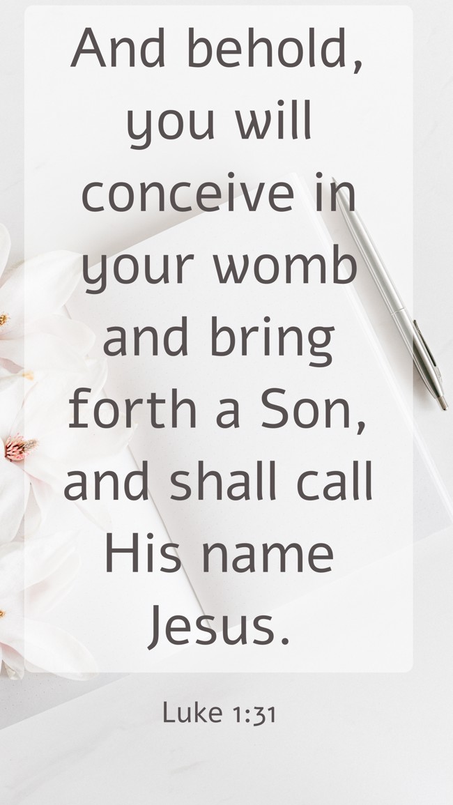 And behold, you will conceive in your womb and bring forth a Son, and shall call His name Jesus. - Luke 1:31