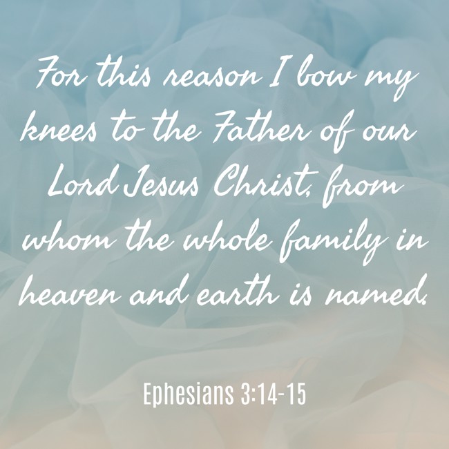 For this reason I bow my knees to the Father of our Lord Jesus Christ, from whom the whole family in heaven and earth is named. - Ephesians 3:14-15
