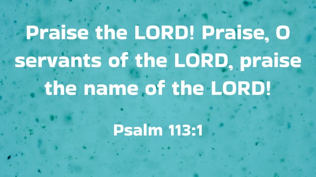 Praise the LORD! Praise, O servants of the LORD, praise the name of the LORD! - Psalm 113:1