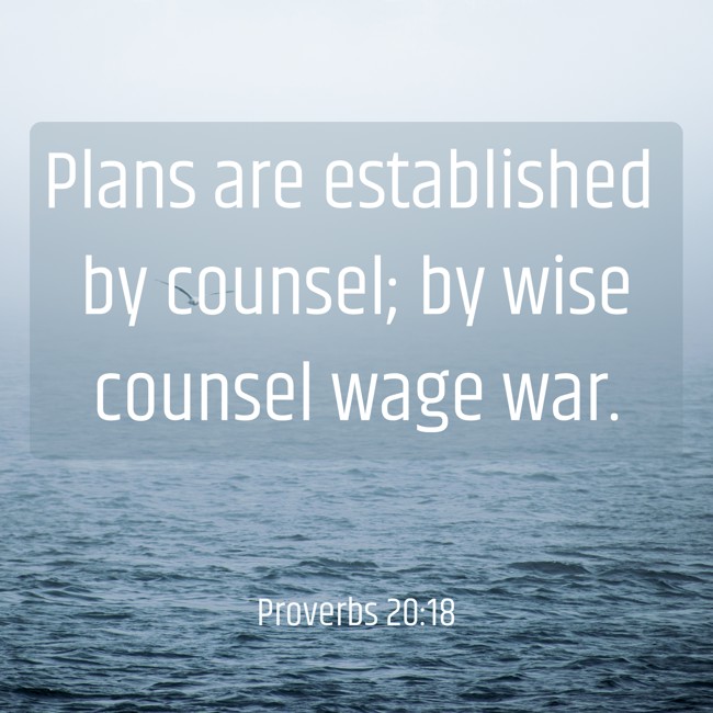 Plans are established by counsel; by wise counsel wage war. - Proverbs 20:18
