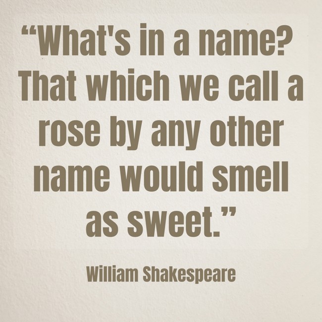 “What's in a name? That which we call a rose by any other name would smell as sweet.” - William Shakespeare
