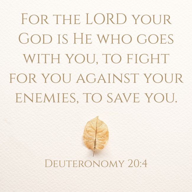 For the LORD your God is He who goes with you, to fight for you against your enemies, to save you. - Deuteronomy 20:4