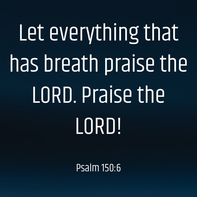 Let everything that has breath praise the LORD. Praise the LORD! - Psalm 150:6