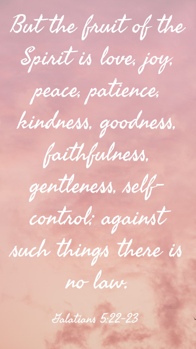 But the fruit of the Spirit is love, joy, peace, patience, kindness, goodness, faithfulness, gentleness, self-control; against such things there is no law. - Galatians 5:22-23