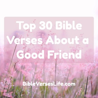 Top 30 Bible Verses About a Good Friend