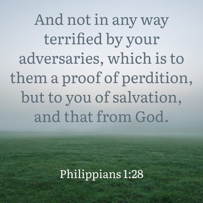 And not in any way terrified by your adversaries, which is to them a proof of perdition, but to you of salvation, and that from God. - Philippians 1:28