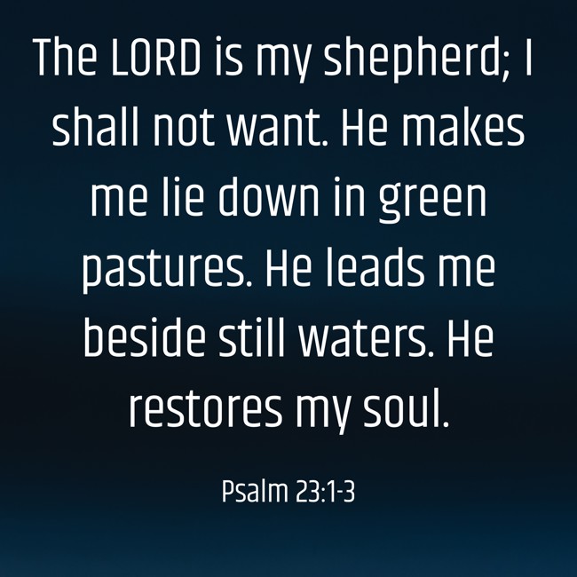 The LORD is my shepherd; I shall not want. He makes me lie down in green pastures. He leads me beside still waters. He restores my soul. - Psalm 23:1-3