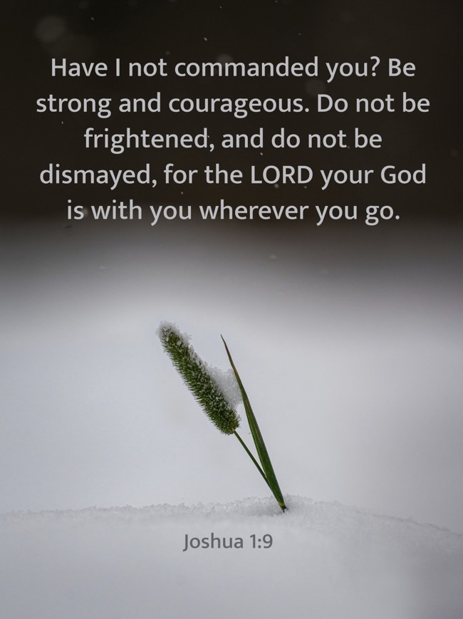 Have I not commanded you? Be strong and courageous. Do not be frightened, and do not be dismayed, for the LORD your God is with you wherever you go. - Joshua 1:9