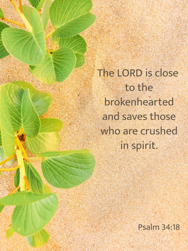 The LORD is close to the brokenhearted and saves those who are crushed in spirit. - Psalm 34:18