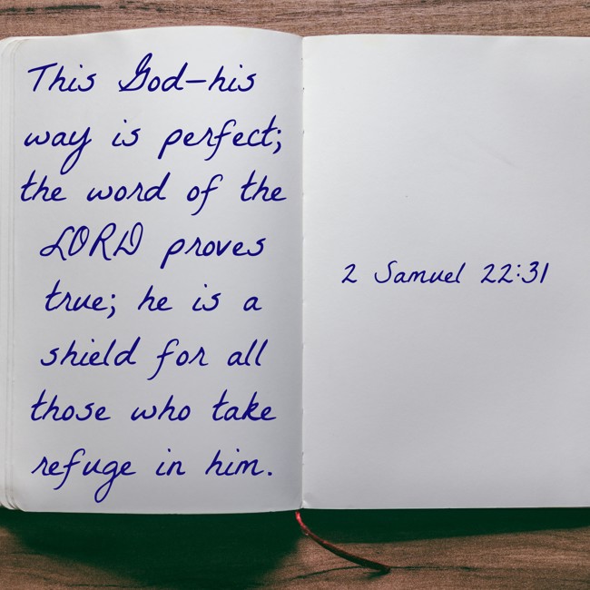 This God—his way is perfect; the word of the LORD proves true; he is a shield for all those who take refuge in him. - 2 Samuel 22:31